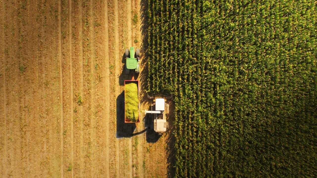 Crop harvesting